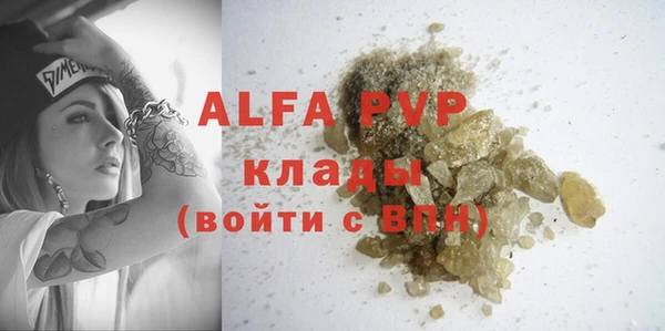 spice Богданович