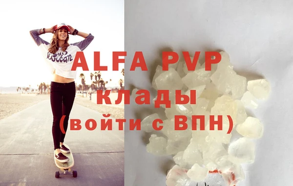 spice Богданович