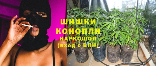 spice Богданович