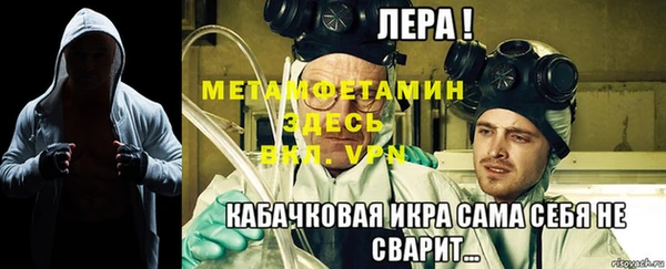 spice Богданович