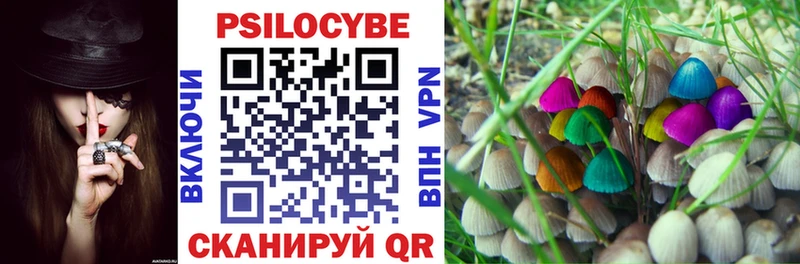 где можно купить Ульяновск Псилоцибиновые грибы Psilocybine cubensis